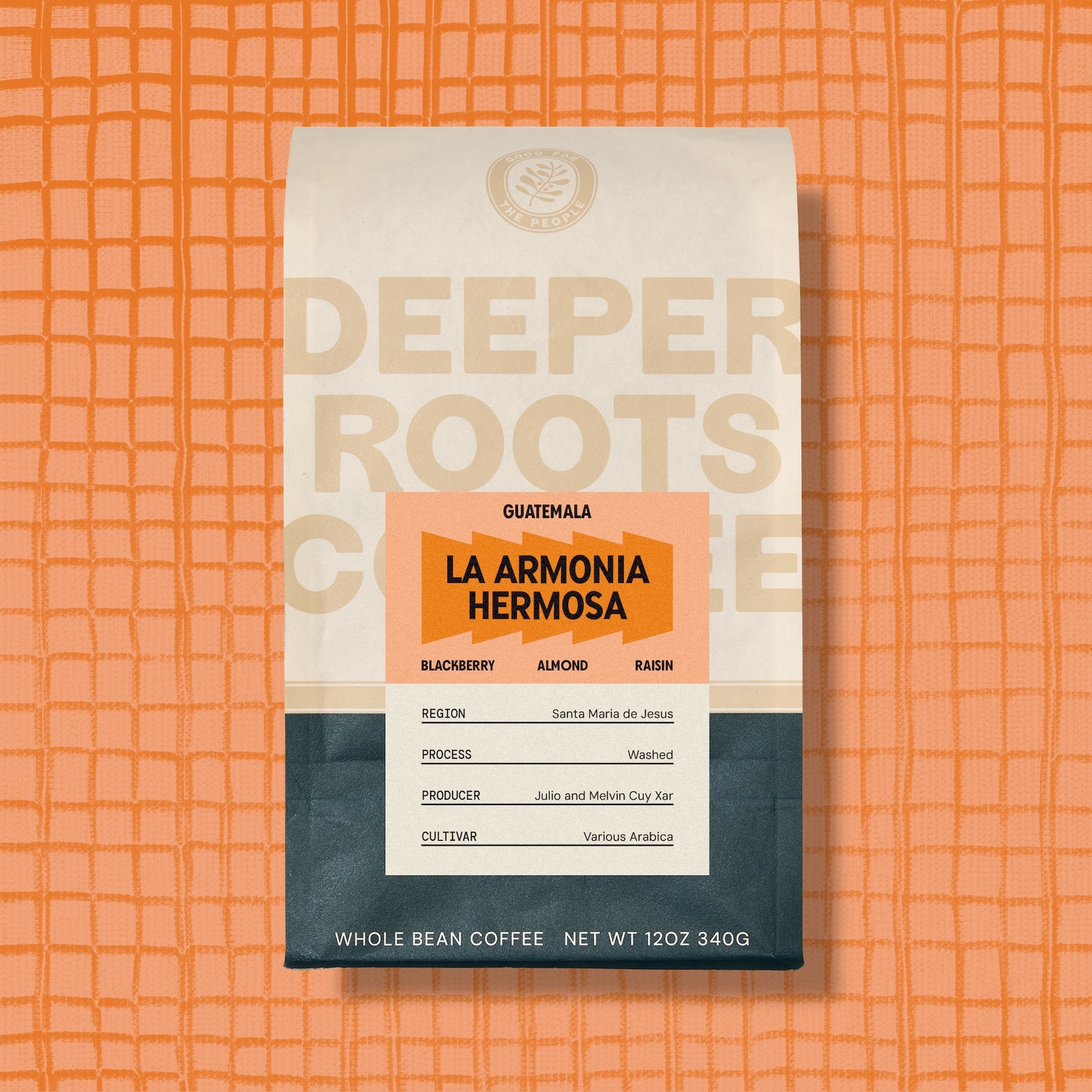 La Armonia Hermosa | Guatemala - Deeper Roots Coffee