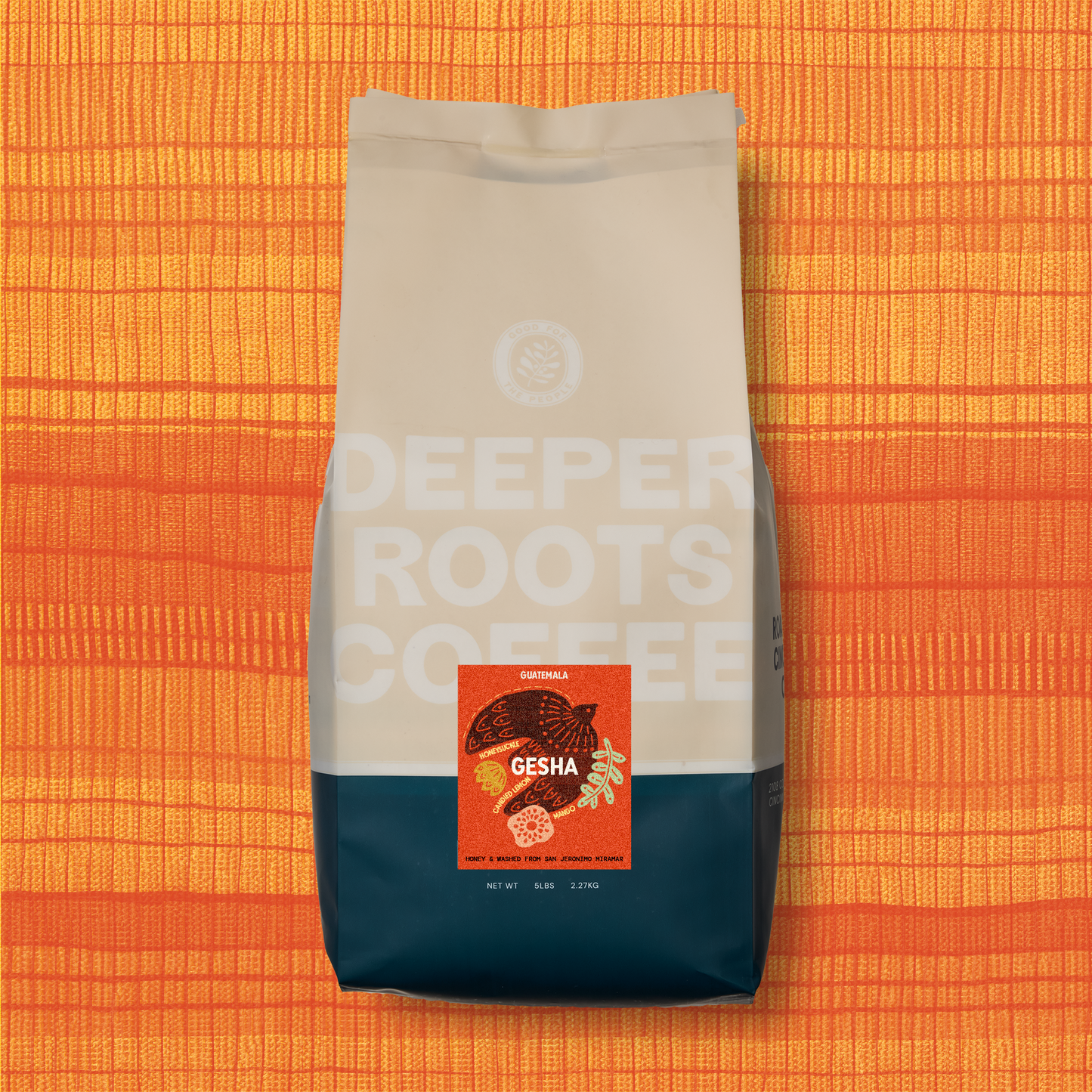 Finca San Jeronimo Gesha | Guatemala