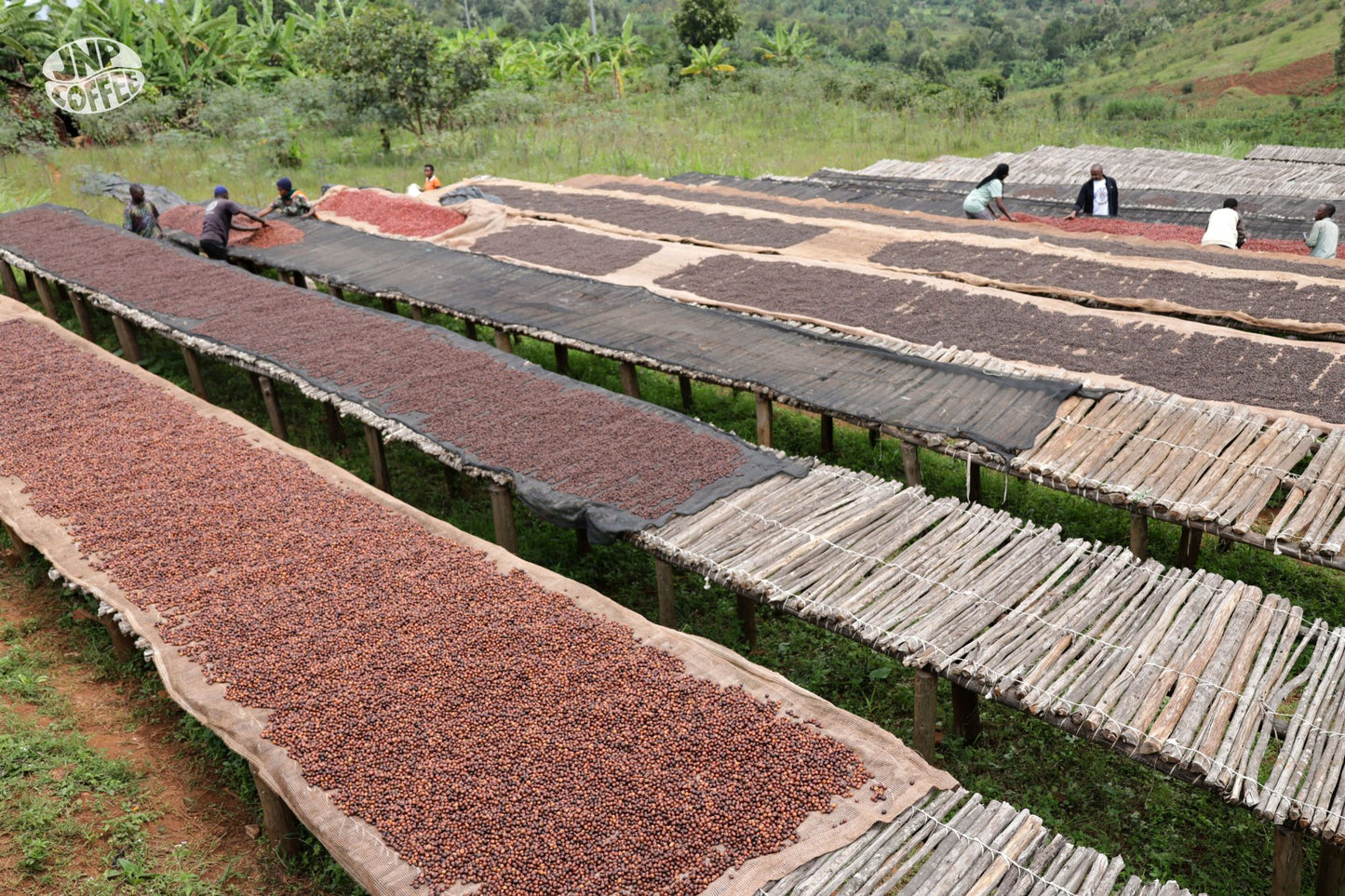 Bavyeyi | Burundi