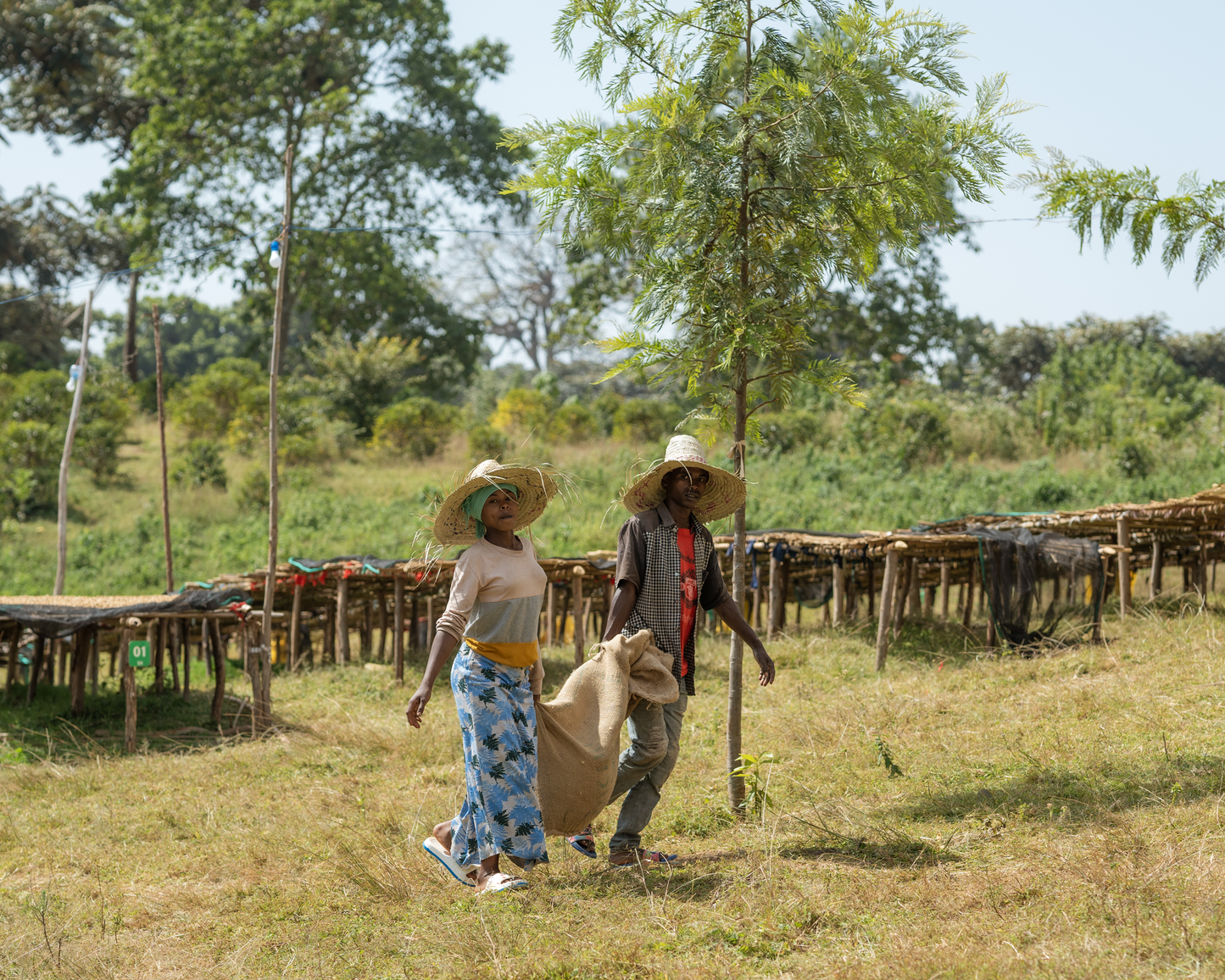 Shantawene | Ethiopia