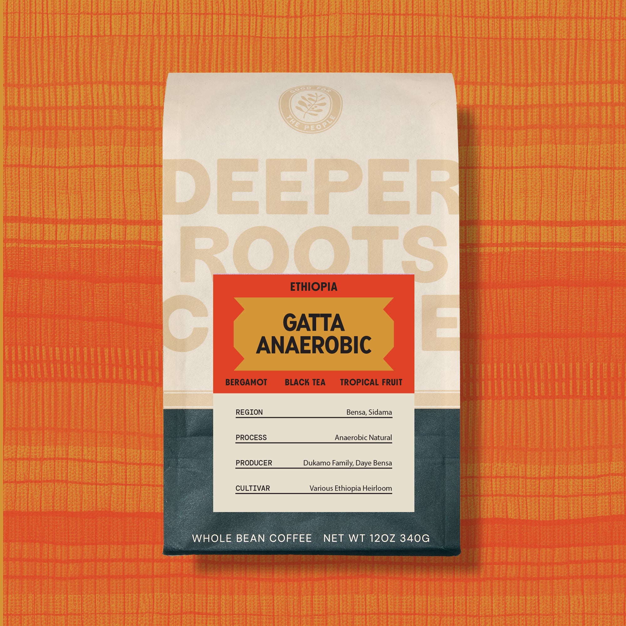 Gatta Anaerobic | Ethiopia