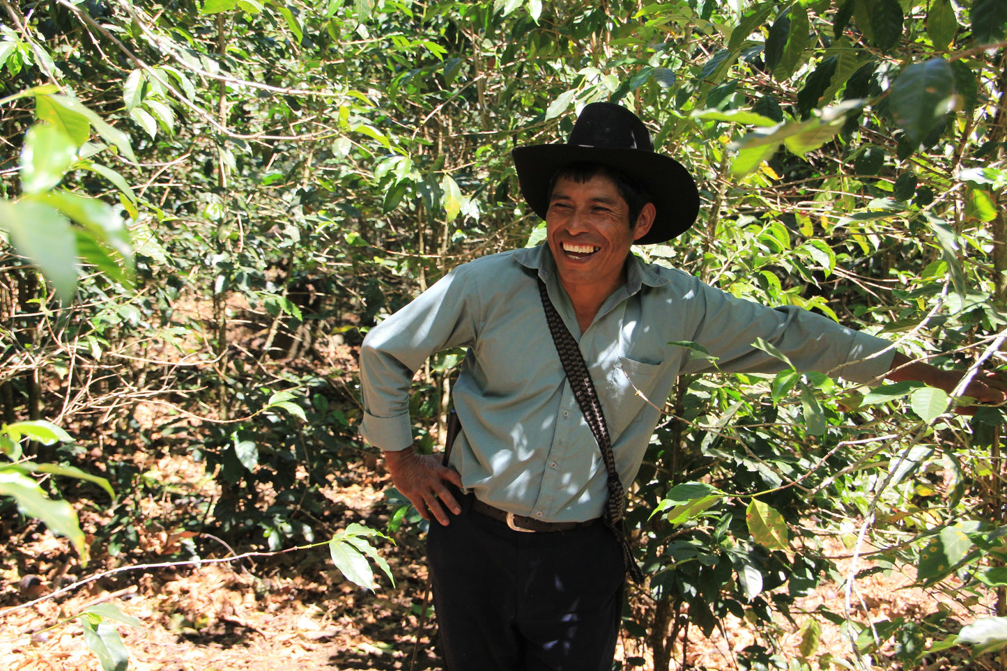 Ija'tz | Guatemala - Deeper Roots Coffee