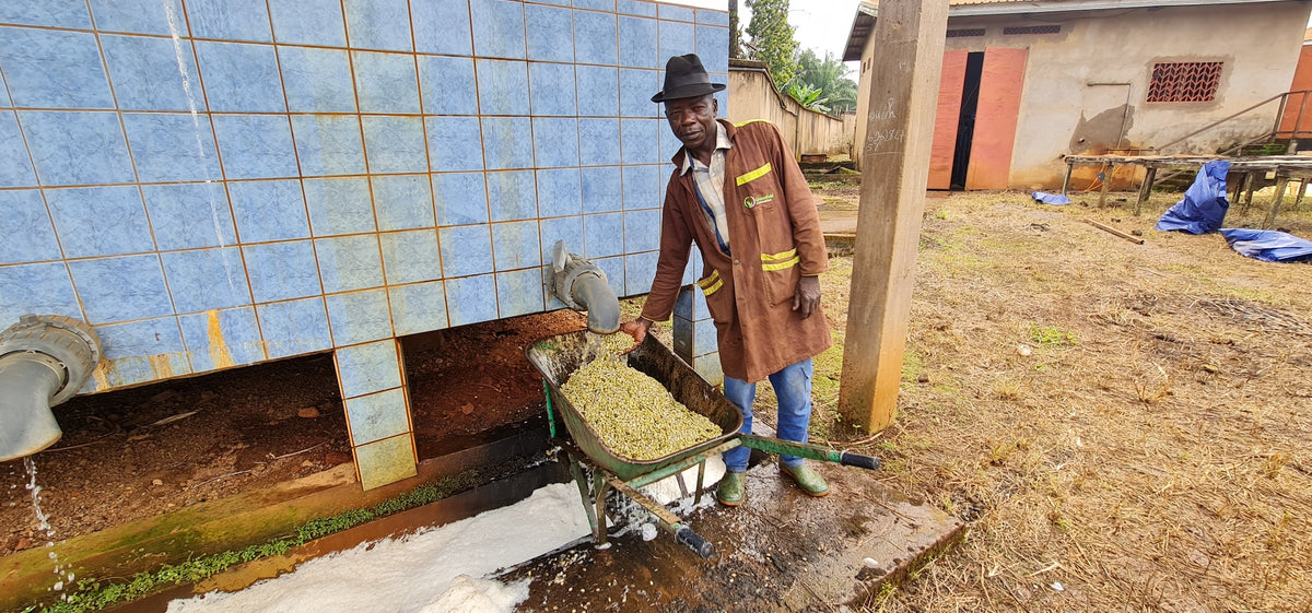 Kouoptamo | Cameroon