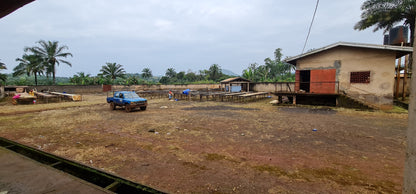Kouoptamo | Cameroon