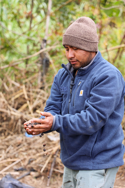 La Armonia Natural | Guatemala