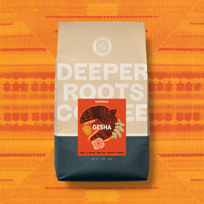 Finca San Jeronimo Gesha | Guatemala