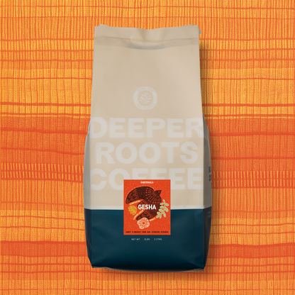 Finca San Jeronimo Gesha | Guatemala