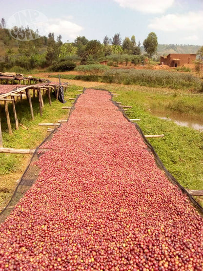 Bavyeyi | Burundi