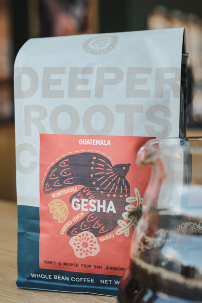 Finca San Jeronimo Gesha | Guatemala