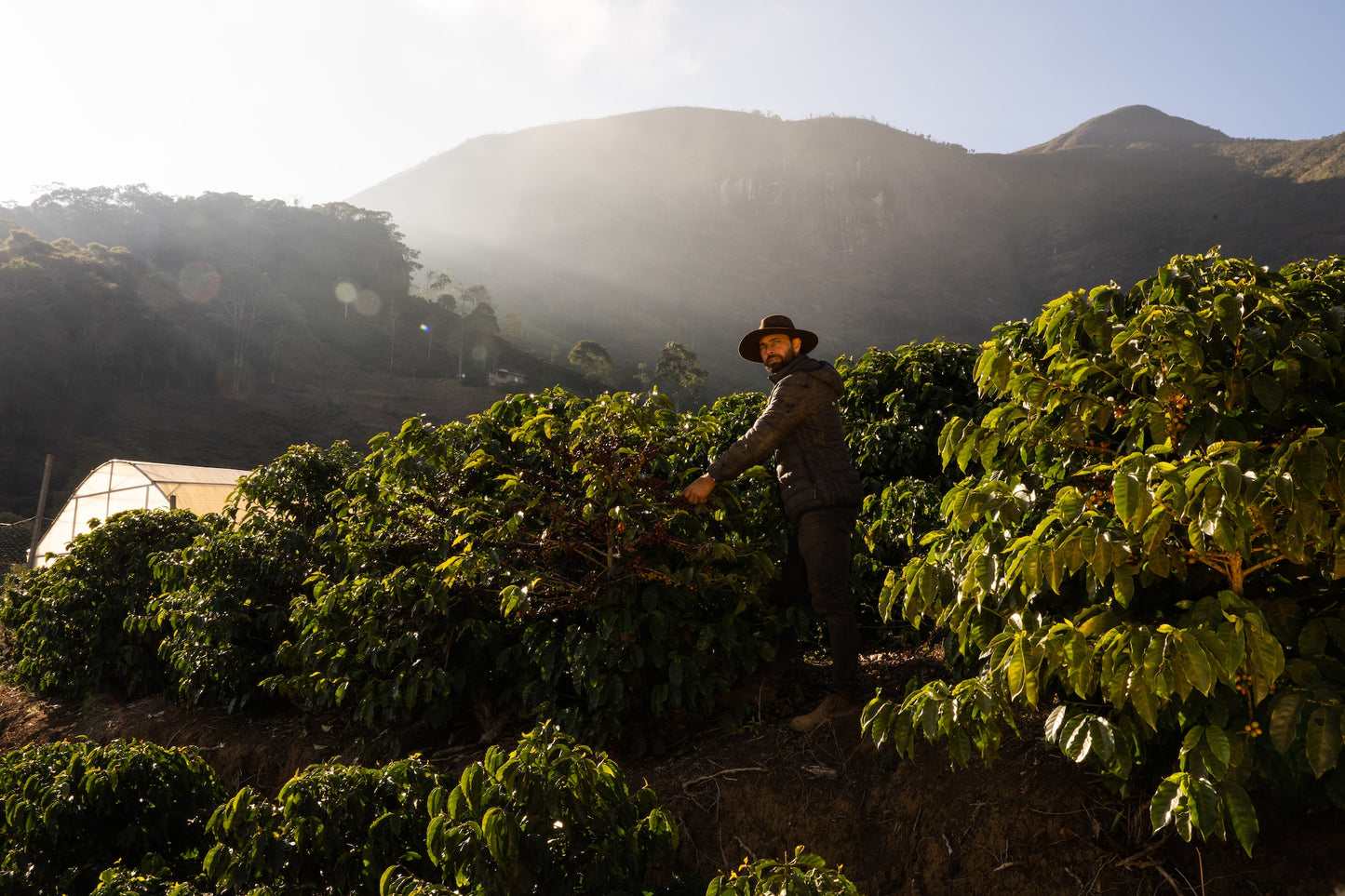 Anderson Robadel | Brazil