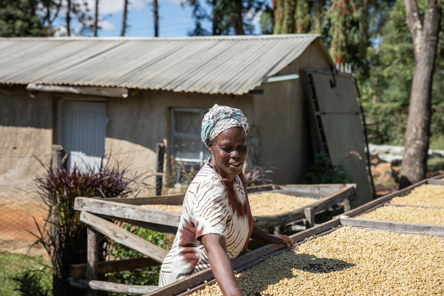 Muinami Estate Natural | Kenya
