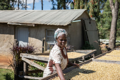 Muinami Estate Natural | Kenya