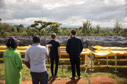 Muinami Estate Washed | Kenya