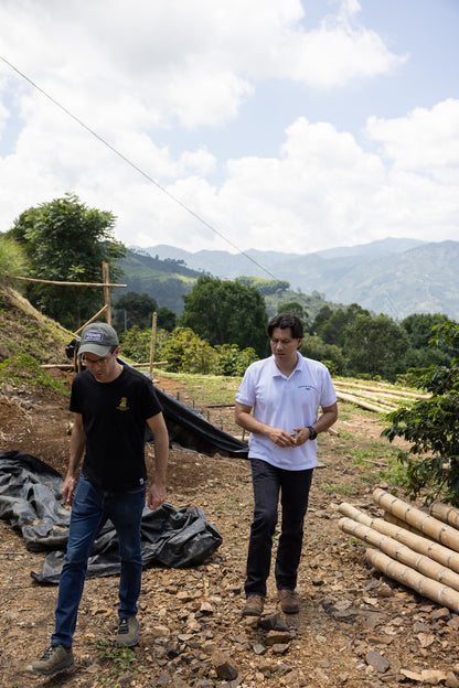 El Jardín Gesha | Colombia