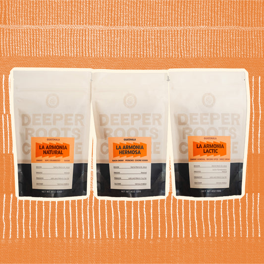 La Armonia Hermosa Process Exploration Pack