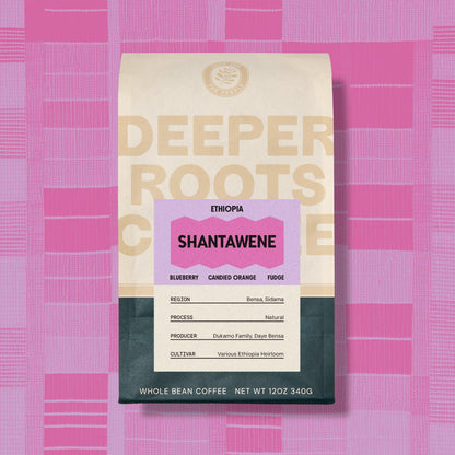 Shantawene | Ethiopia - Deeper Roots Coffee