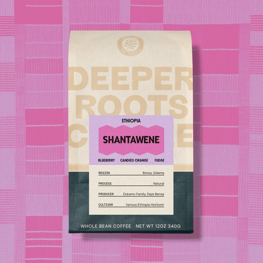 Shantawene | Ethiopia - Deeper Roots Coffee