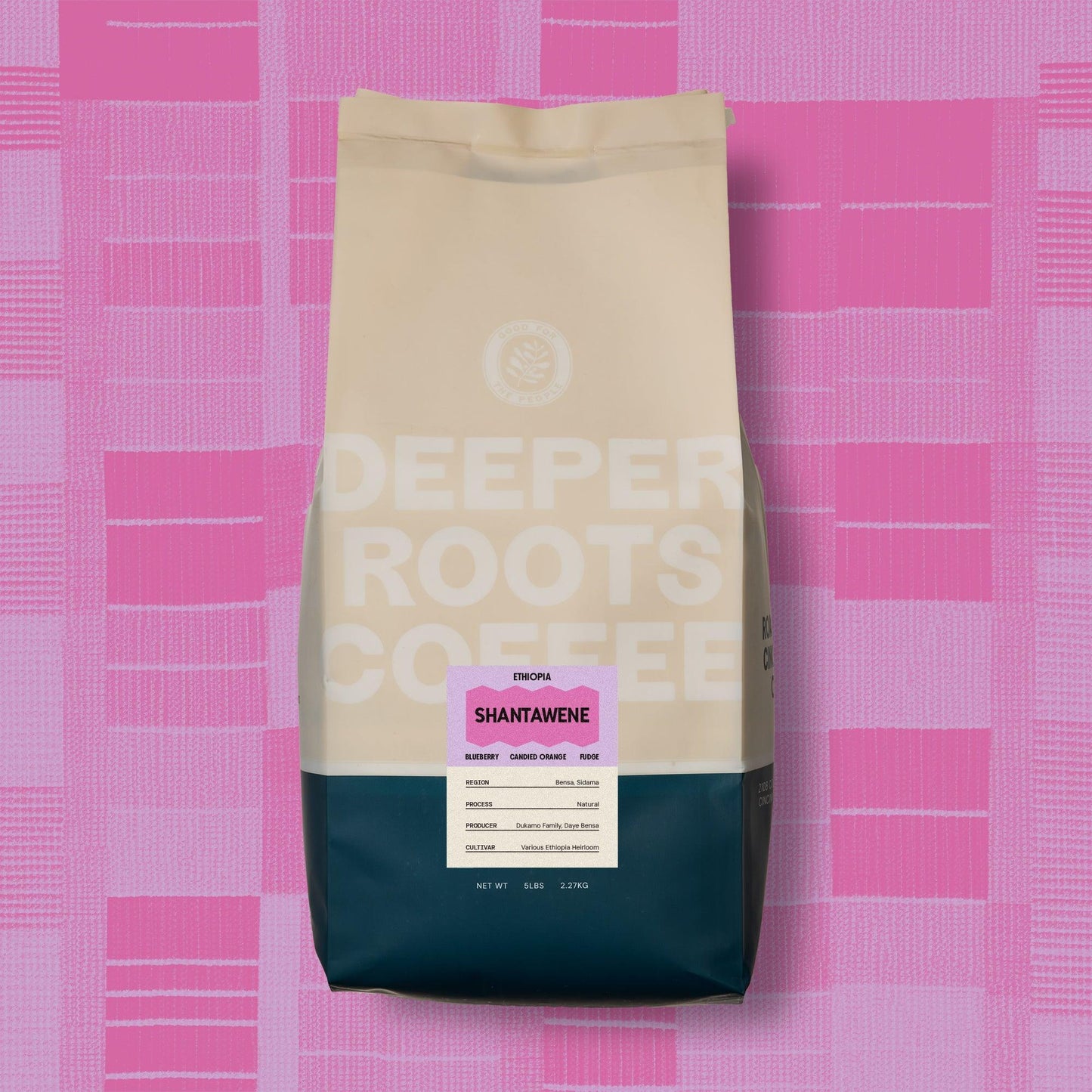 Shantawene | Ethiopia - Deeper Roots Coffee