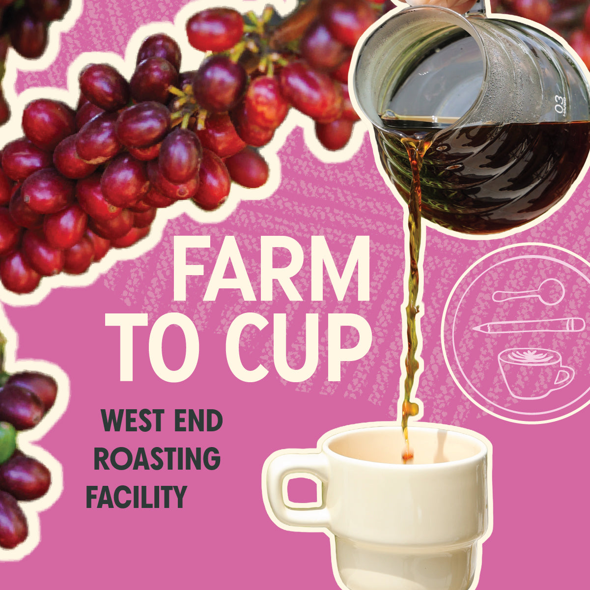 Farm to Cup